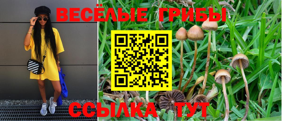 Псилоцибиновые грибы мухоморы Тулун