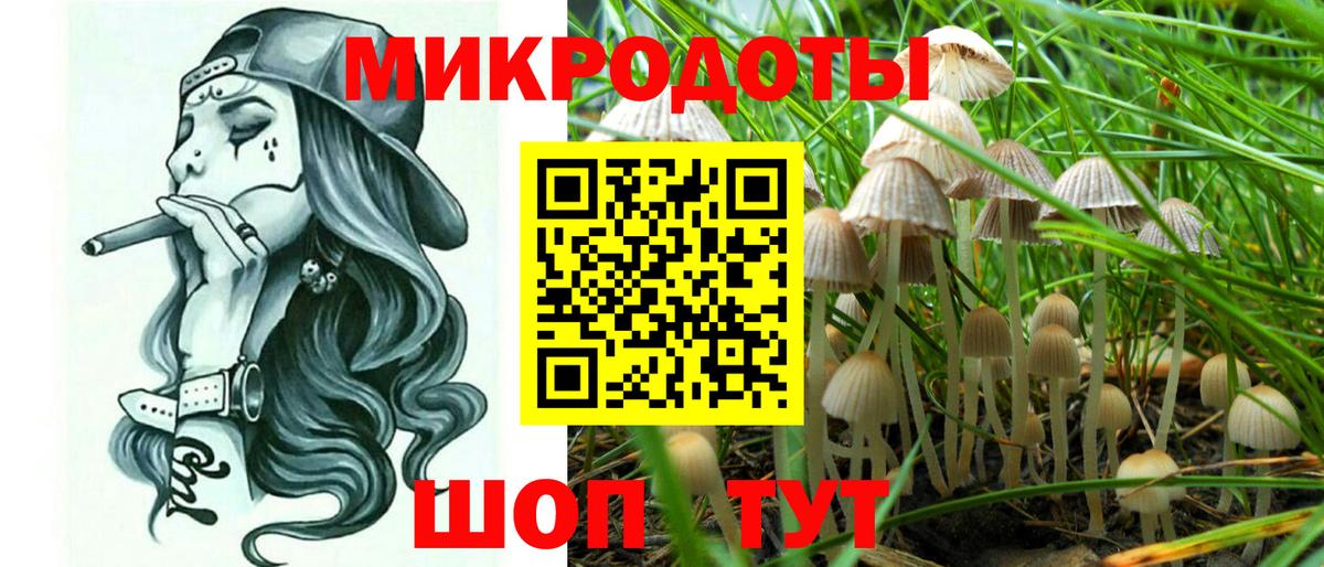 Псилоцибиновые грибы мицелий  купить   Тулун  Вход с VPN 